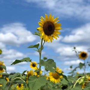 Meet your Posher, Jenn